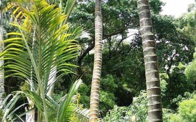 Pousada de Coloane Boutique Hotel