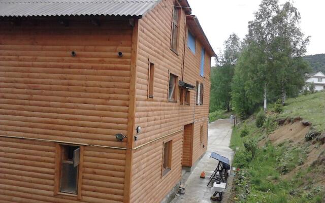 Gutsulochka Apartment
