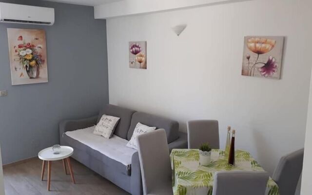 Apartments Šišević