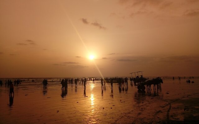 Tranquil Coast Resorts
