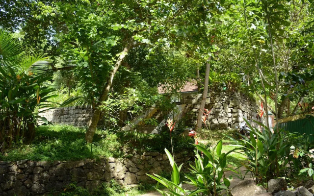 The Jungle House