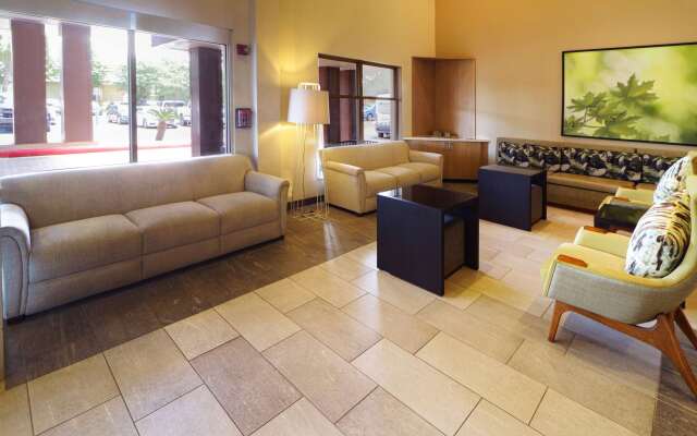 Wyndham Garden McAllen at La Plaza Mall