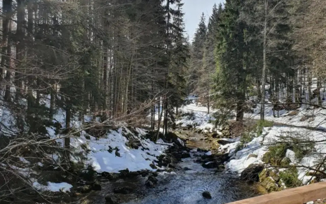 Pronájem Apartmánu V Tanvaldu