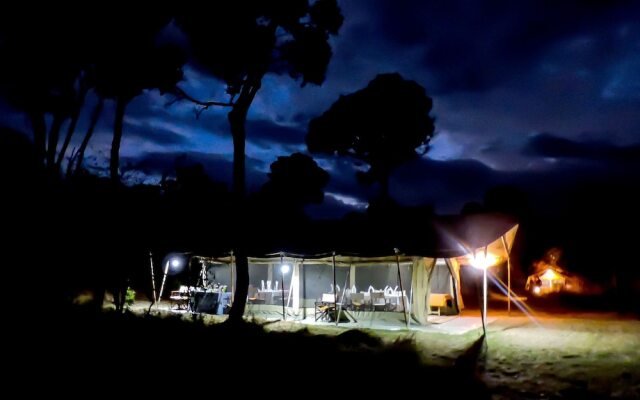 Serengeti Savannah Camps