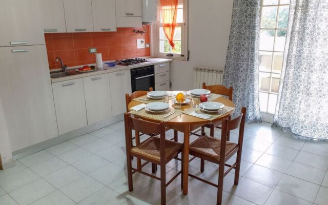 Green Marine, Palme, Ismare 24951