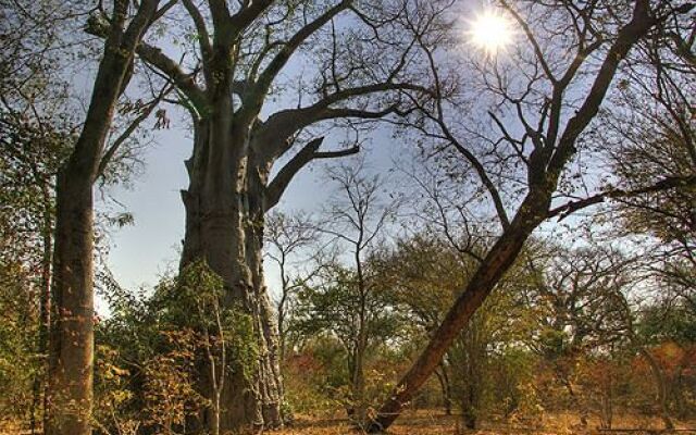 Royal Chundu River Lodge