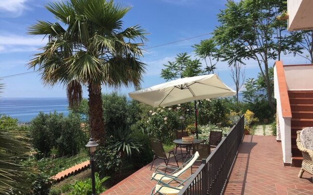 B&B Colle degli Ulivi