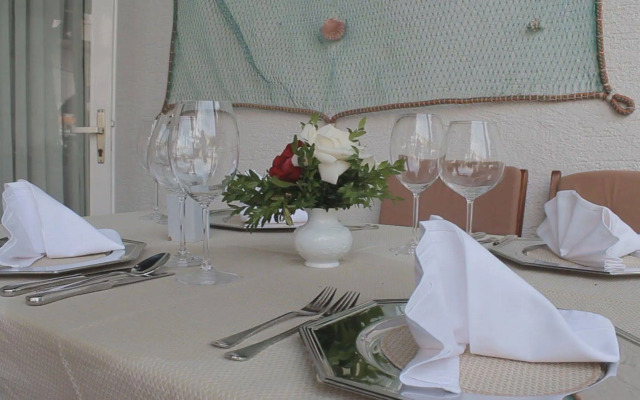 Hotel Borovnik