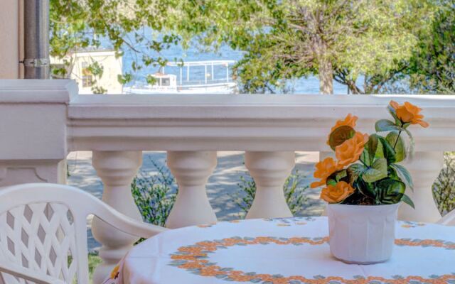 Apartment Branko Valfurva