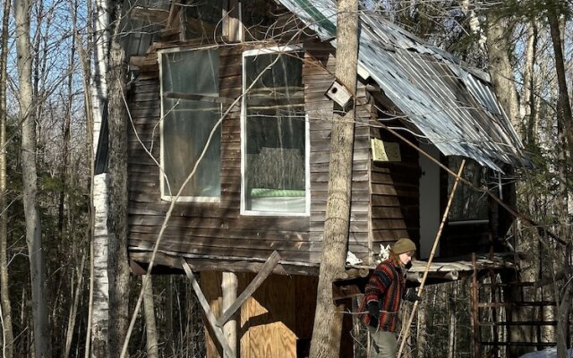 Streeter Mountain Farm