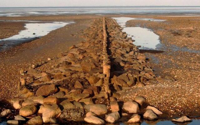 Wohnung-Schwalbennest