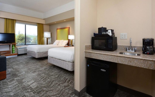 SpringHill Suites by Marriott Lynchburg Airport/University Area