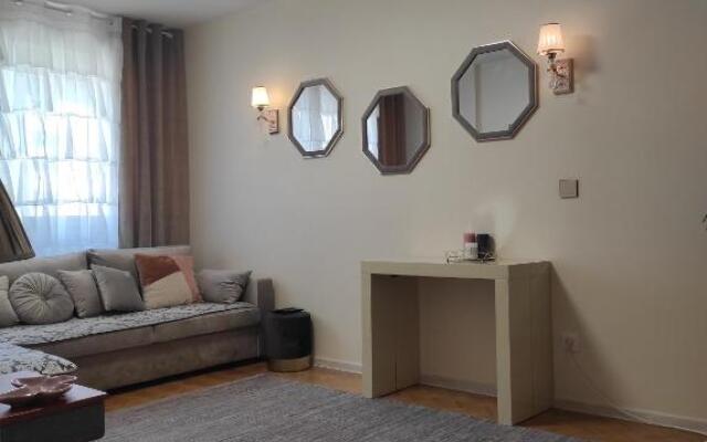 Appartements F3 Design Colmar+parking free