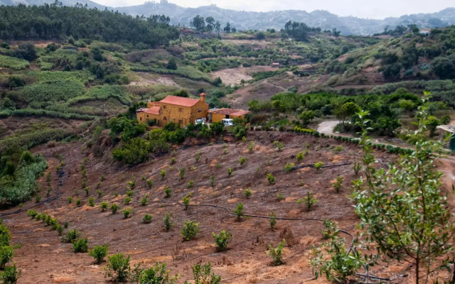 Las Casas de Lola y Rafael