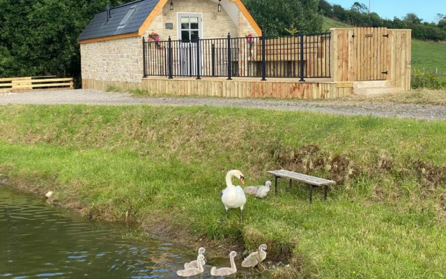 Gorestown Glamping Chalets