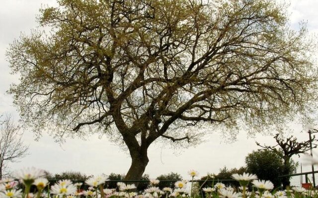 La Meridiana Agriturismo