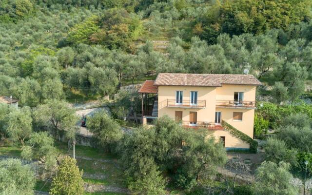 Madonna Dell'Aiuto True View