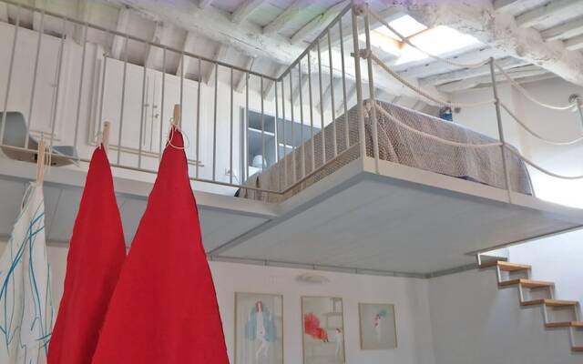 Il polpo e la sirena