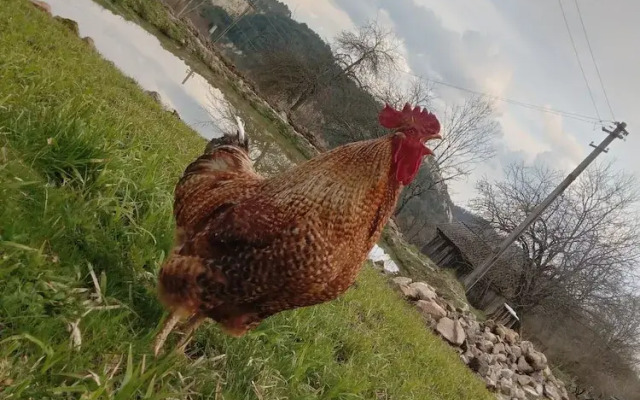 Room in Guest Room - Sejour Retreat For Family In Paradise