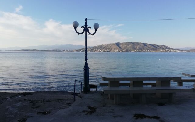 Salamina's Apartment