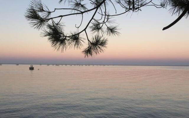 Charmant T2 Coeur de Ville