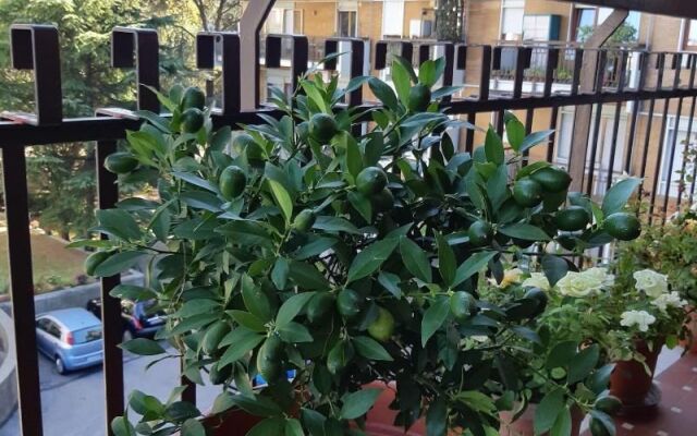 Venice h.s.Garden Home