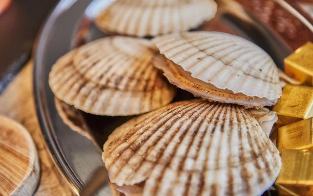 Panoramic Mt. Fuji Views from All Rooms – VISION GLAMPING Resort & Spa YAMANAKAKO