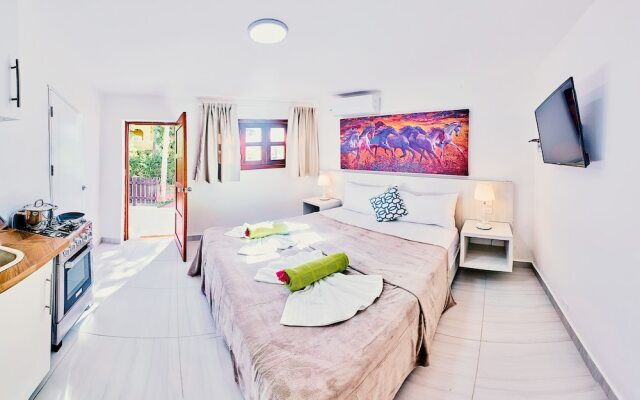 Modern Studio near Arena Gorda Beach
