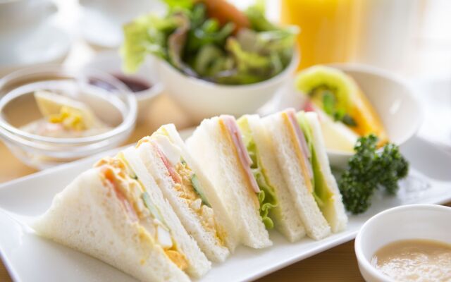 Shin Osaka Station Hotel Annex
