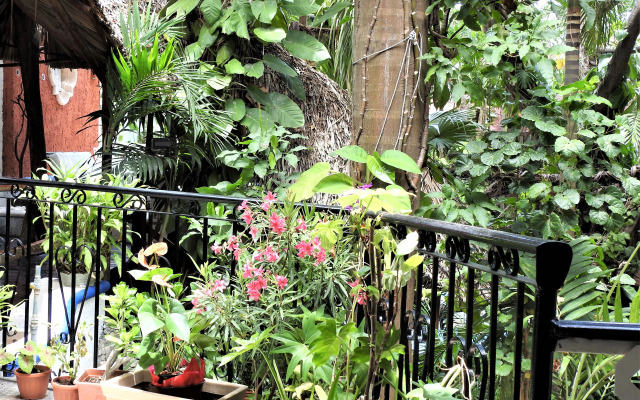 Eco-Hotel El Rey del Caribe