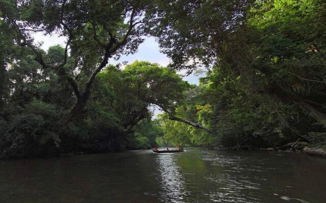 Mutiara Taman Negara