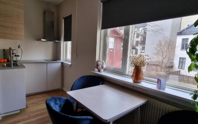 Majorstuen studio apartment