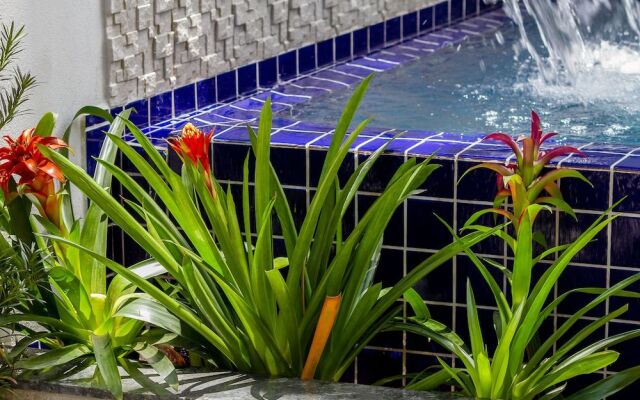Calamar Flats Paraty