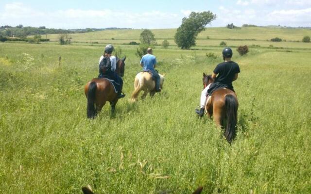 Cavallo Di Fiori - Agriscuderia