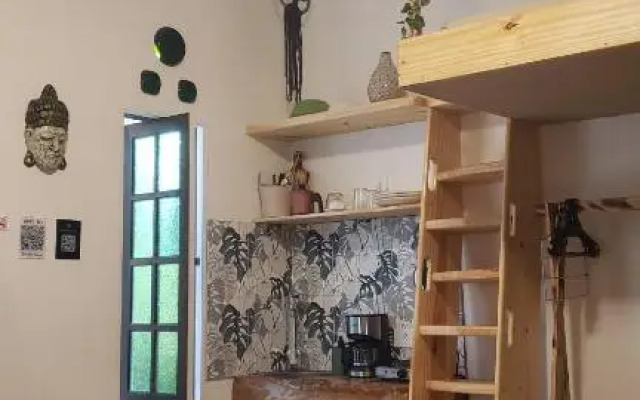 Suite Clorofila House Guest House