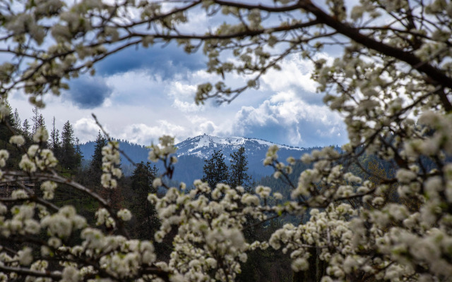 The Bard's Inn, BW Signature Collection by Best Western