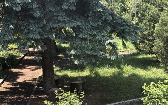 Vanadzor Armenia Health Resort