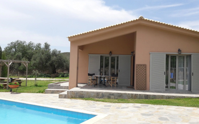 Socrates Organic Village - Wild Olive