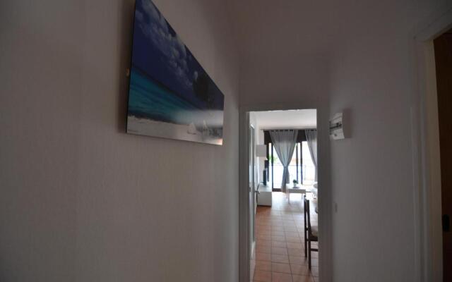 RNET - Roses II - 2-9