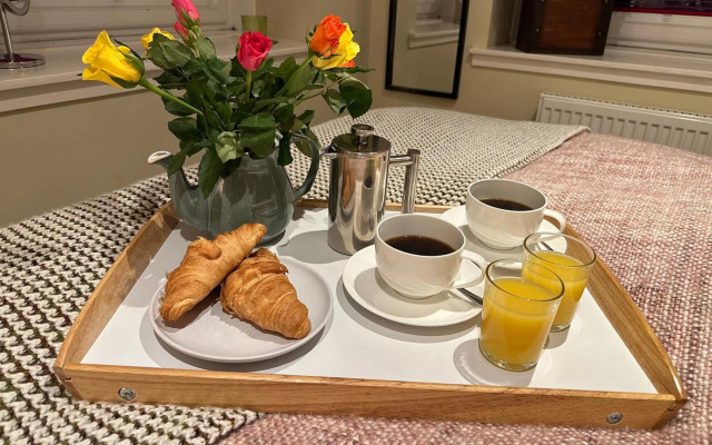 The Little Beech Tree