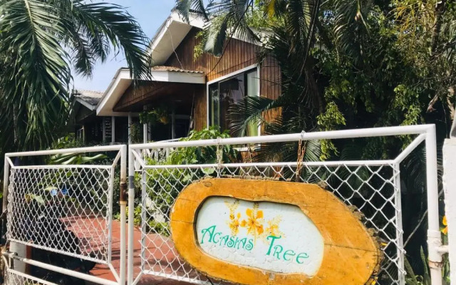Acacias Tree Hostel