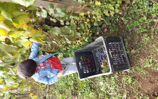 Agriturismo Frantoio Mafrica