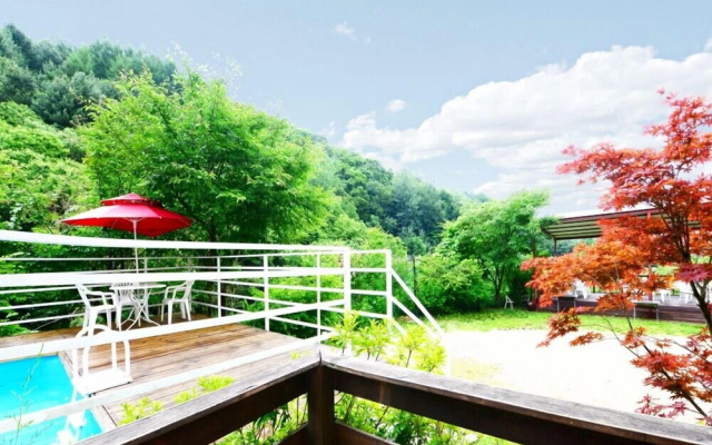 The Tree in the Lake