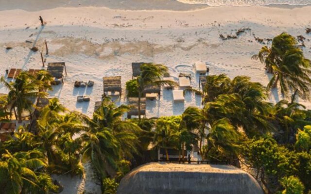 Nest Tulum