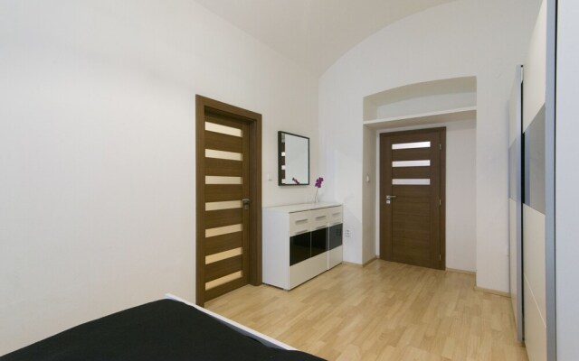 Spacious apartment near Wenceslas Square