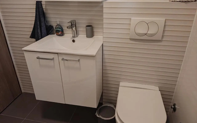 Apartment Ana