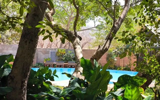 Room in Lodge - Luxury Suite in Zambezi Boutique Lodge 9 With Free Town Tour