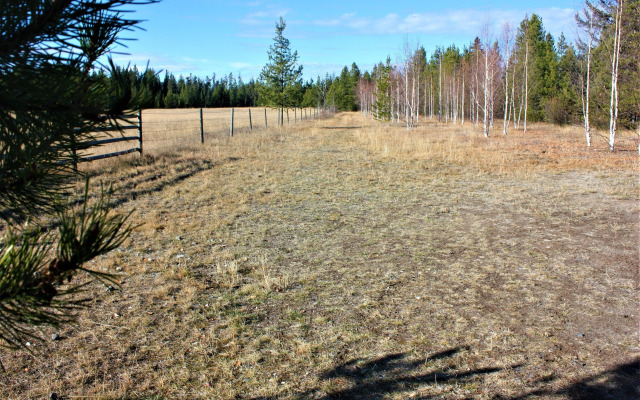 Woodhouse Cottages and Ranch