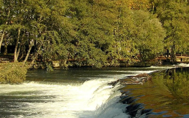Piso Top en Plaza Mayor