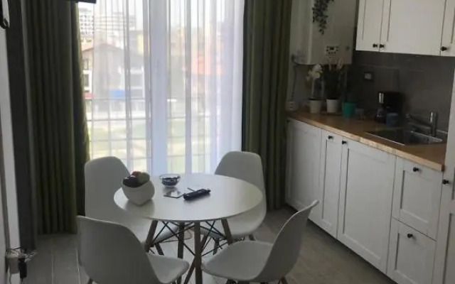 Mihnea Studio Alezzi